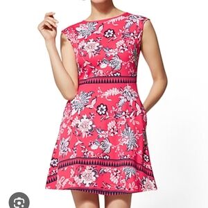 New York & Company Pink Floral 100% Cotton Mini Dress Size Small